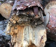 Bericht van de tuincommissie