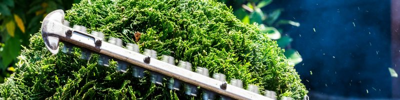 Schilderwerk bergingramen en snoeien struiken